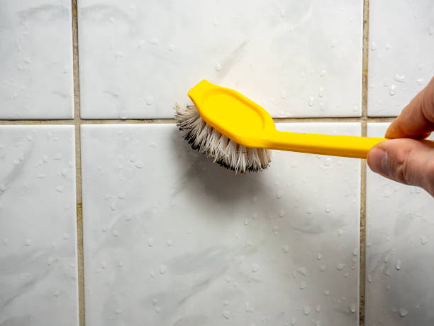  Bay Park, NY Mold Removal Pros