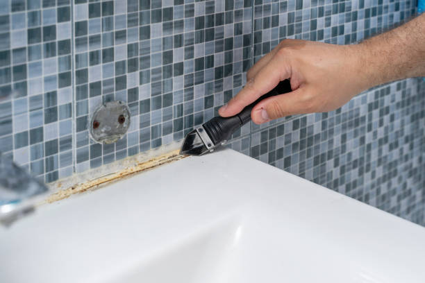 Trusted Bay Park, NY Mold Removal Experts