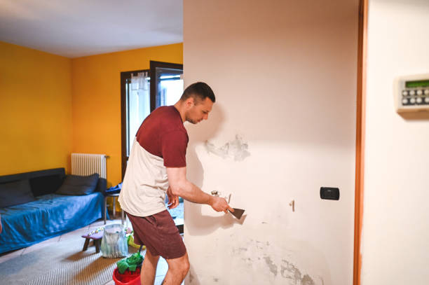 Best Mold Damage Repair  in Bay Park, NY