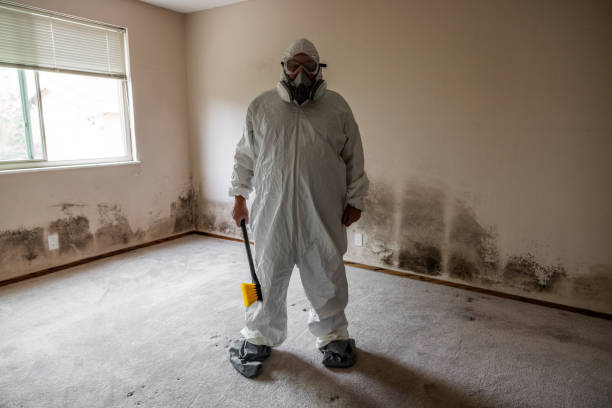 Best Professional Mold Removal  in Bay Park, NY